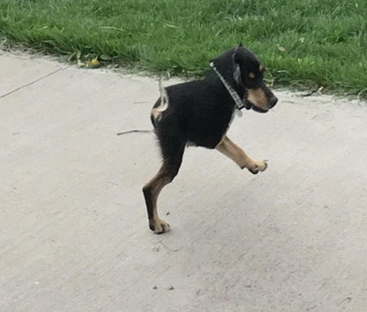 Illustration de l'article : Ces 23 photos prises en mode panoramas qui ont mal tourné