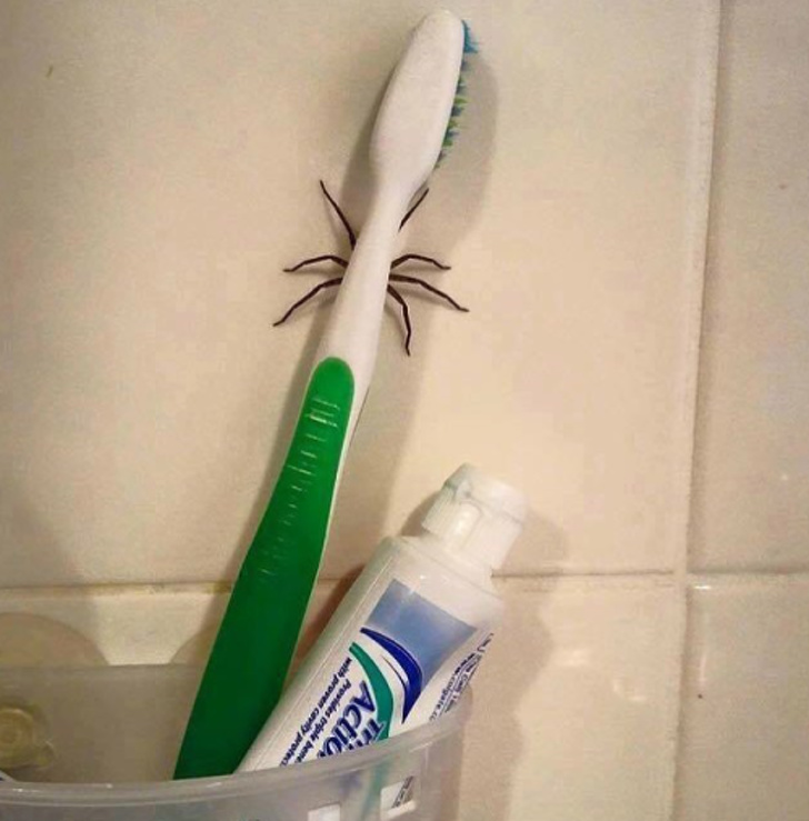 Illustration de l'article : Ces 21 images qui font froid dans le dos