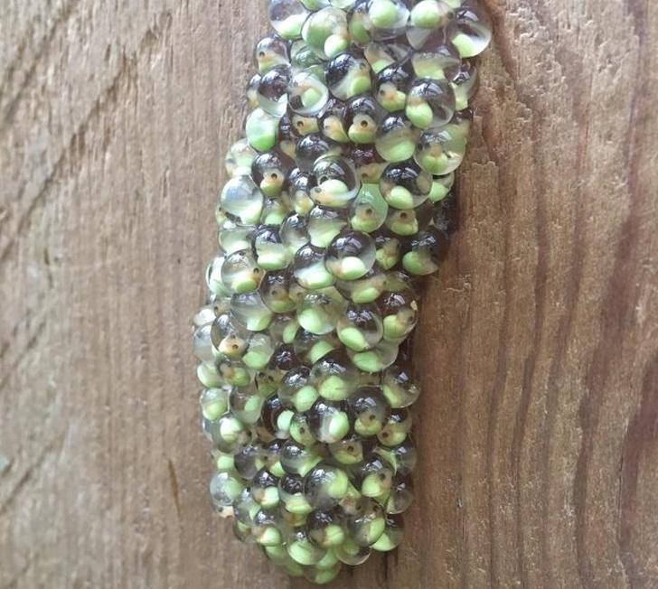 Illustration de l'article : Ces 22 images qui donnent un regard nouveau sur le monde