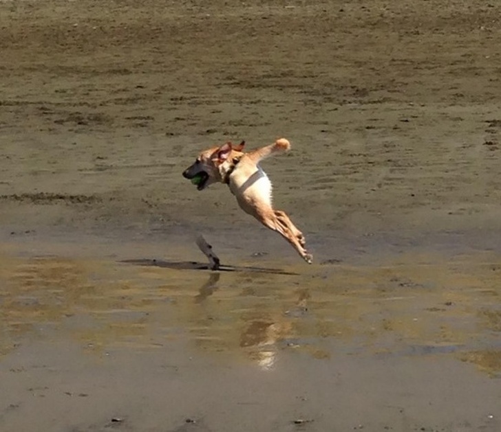 Illustration de l'article : Ces 20 photos panoramiques qui ont mal tourné