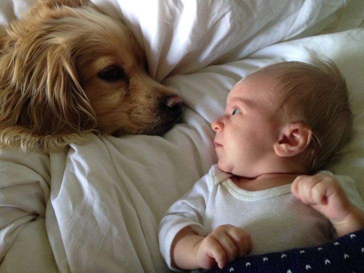 Illustration de l'article : Ces 16 photos qui illustrent de beaux souvenirs de la vie