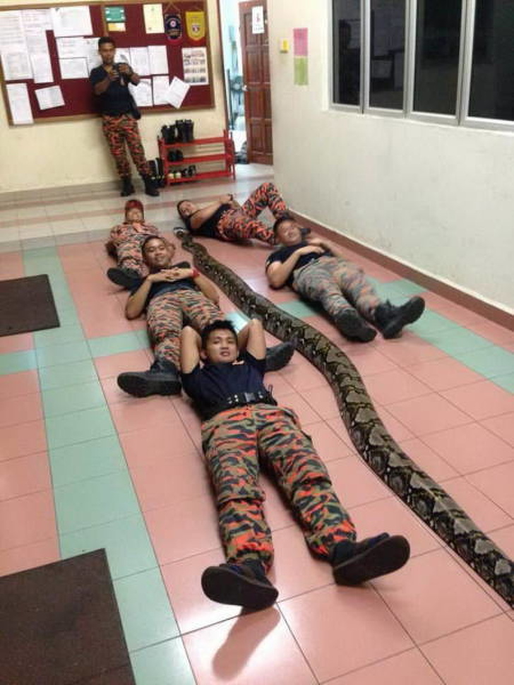 Illustration de l'article : Ces 20 photos qui montrent la particularité des pays asiatiques