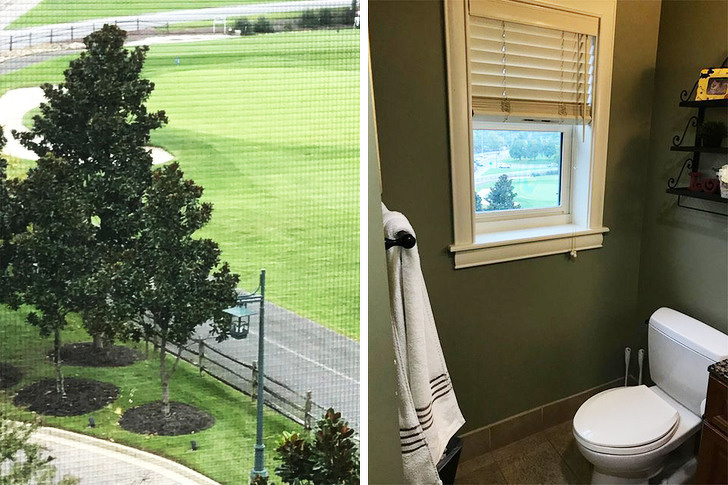 Illustration de l'article : Ces 21 photos qui réclament un peu d'empathie