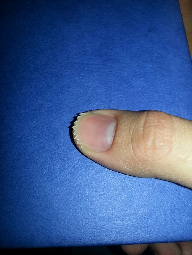 Illustration de l'article : Sélection des 23 photos insolites de la semaine