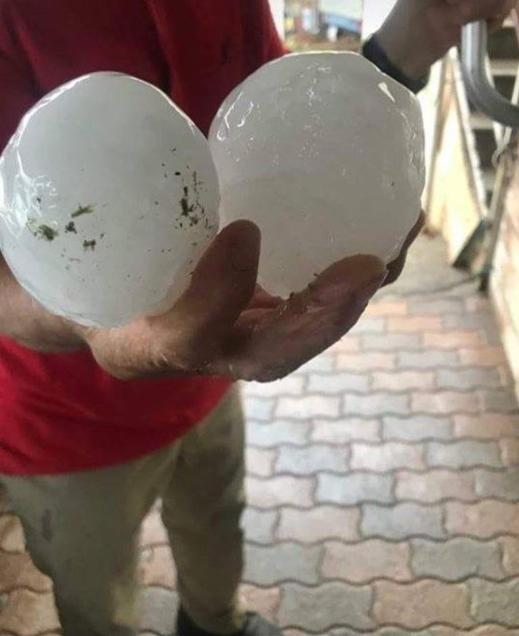 Illustration de l'article : Ces 15 choses que l'on peut désormais voir sur Internet