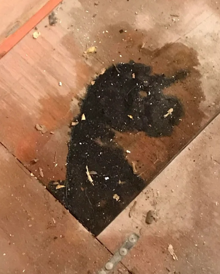 Illustration de l'article : Ces 19 photos qui illustrent les traits d'humour du quotidien