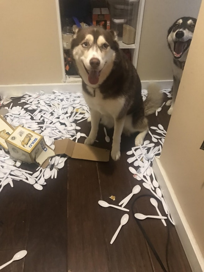 Illustration de l'article : 22 choses qui tapent vraiment sur les nerfs