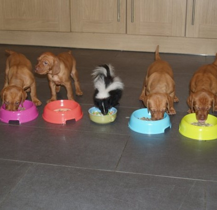 Illustration de l'article : Ces 20 personnes qui ont eu droit à leur jour de chance