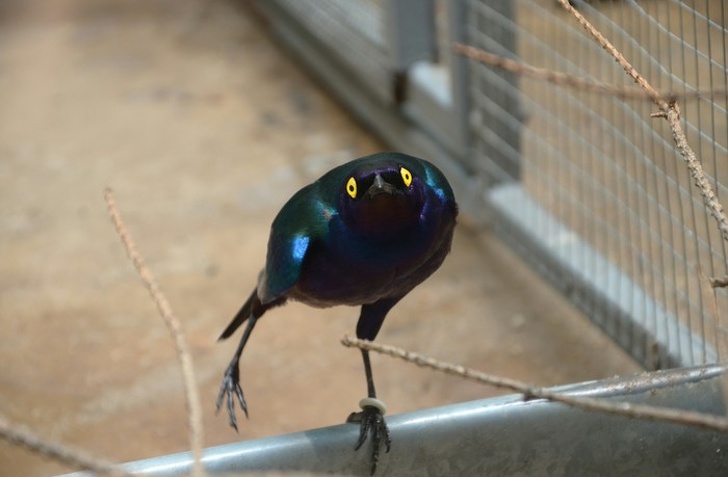 Illustration de l'article : Ces 26 photos qui montrent des situations prises au bon moment