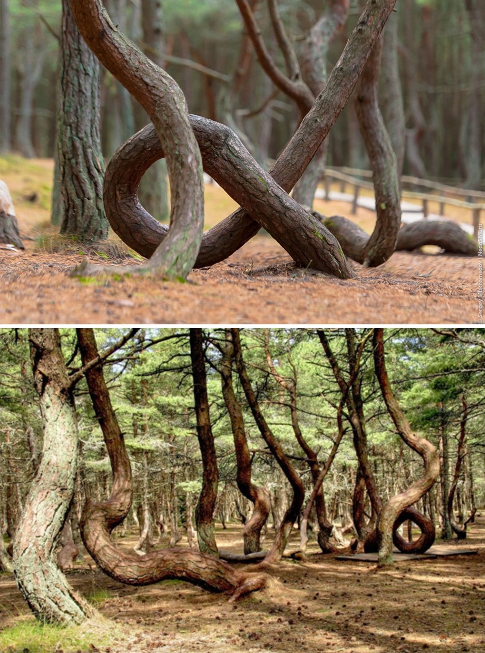 Illustration de l'article : 15 phénomènes naturels qui prouvent la force de la planète Terre