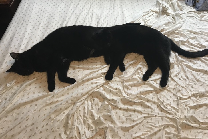 Illustration de l'article : Ces 20 photos présentant des situations particulièrement ambigües