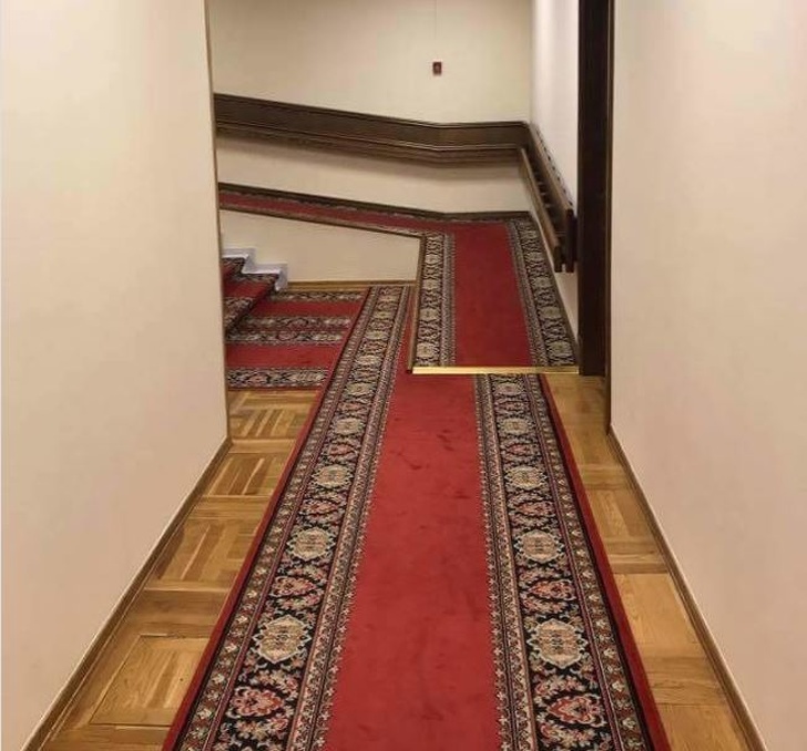 Illustration de l'article : Ces 21 photos de choses difficiles à expliquer