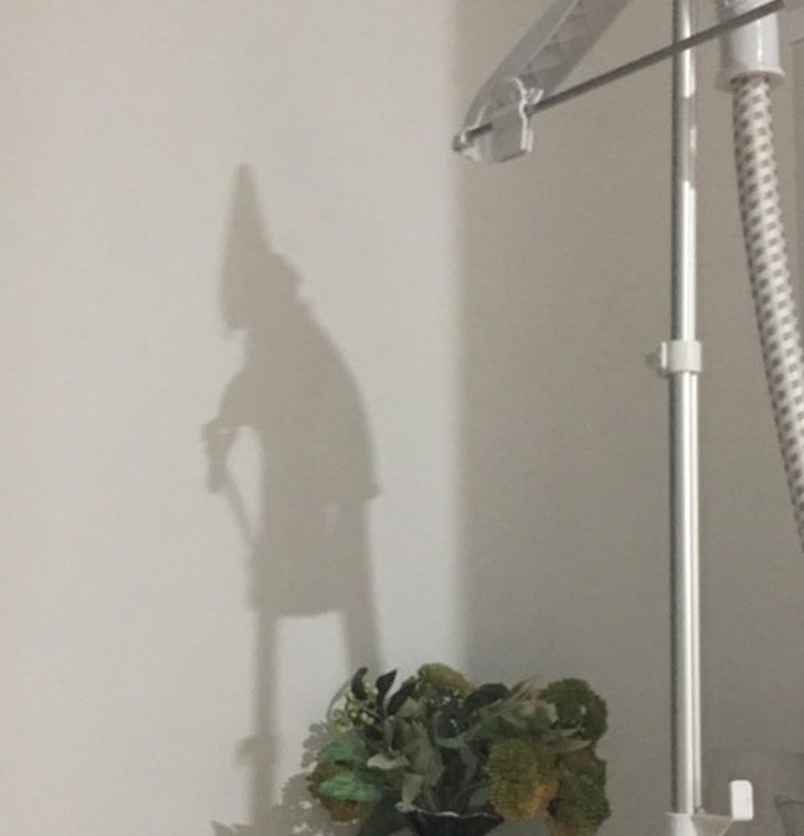 Illustration de l'article : Ces 19 ombres bien différentes de leur corps réel