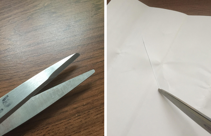 Illustration de l'article : Ces 25 photos d'objets du quotidien qui se démarquent