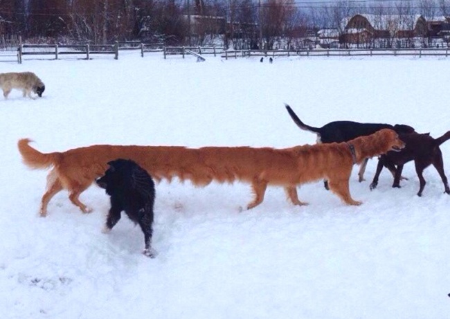 Illustration de l'article : 21 photos rat&eacute;es prises avec le mode panoramique de vos smartphones