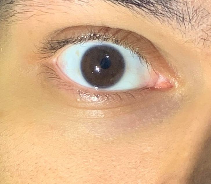 Illustration de l'article : Ces 20 photos qui montrent que chacun est unique