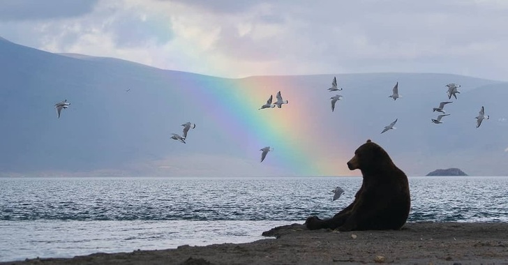 Illustration de l'article : Ces 18 photos prises à l'instant qu'il fallait