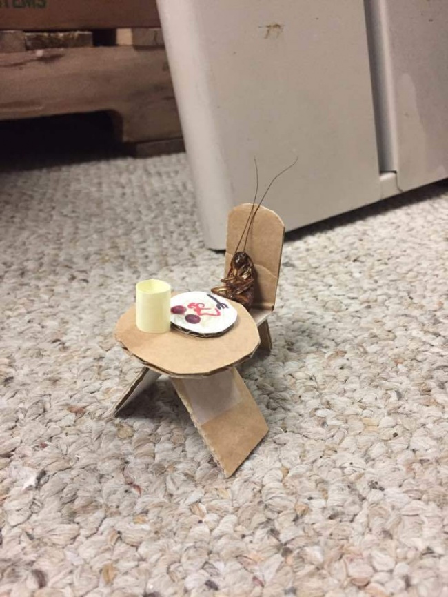 Illustration de l'article : 14 personnes ayant retrouvé des choses à des endroits improbables