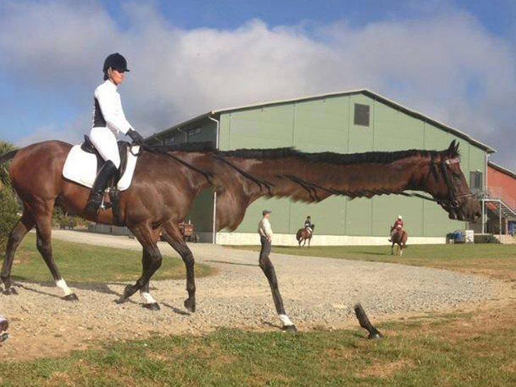 Illustration de l'article : Ces 20 photos panoramiques qui ont mal tourné