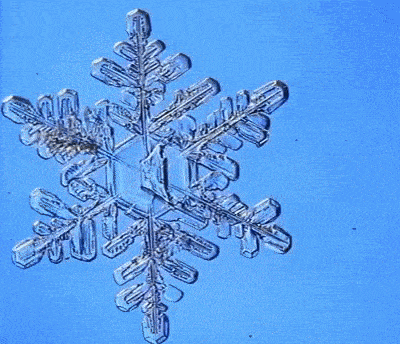 Illustration de l'article : Ces 29 photos curieuses qui révèlent le monde dans lequel nous vivons