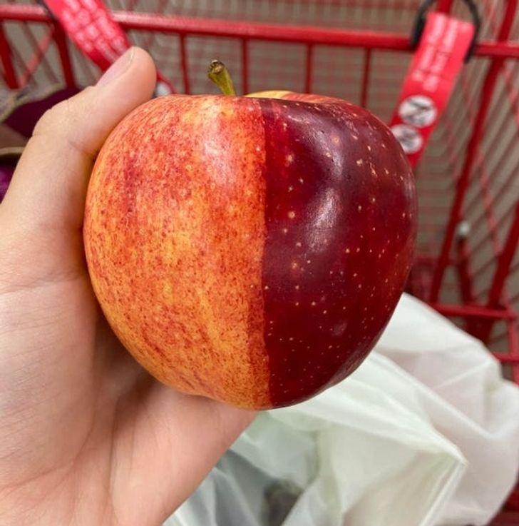 Illustration de l'article : Ces 15 fois où la nature a joué avec les couleurs