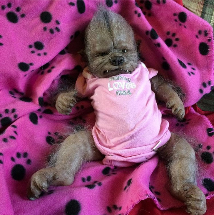 Illustration de l'article : Ces 15 photos qui remettent beaucoup de choses en question