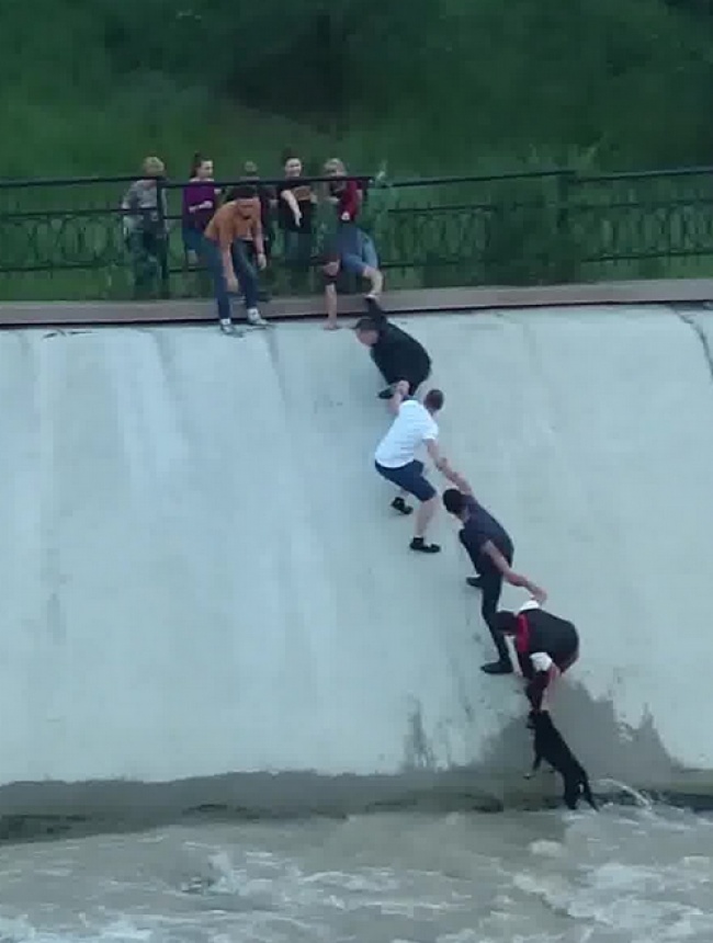 Illustration de l'article : 19 photos qui prouvent que l&rsquo;altruisme existe encore