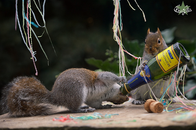 Illustration de l'article : Ces 22 choses curieuses observées et immortalisées par un appareil photo