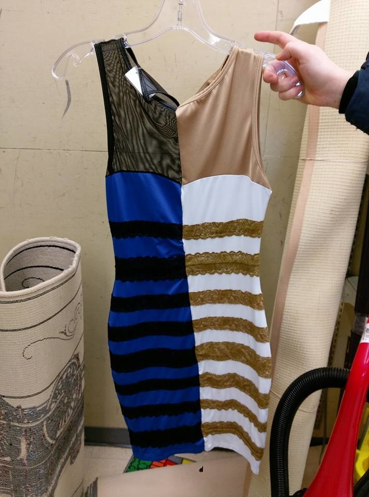 Illustration de l'article : Ces 18 objets originaux trouvés dans des brocantes et dépôts