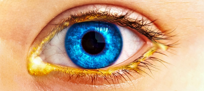 Illustration de l'article : 27 faits singuliers qui nous font voir le monde sous un autre angle