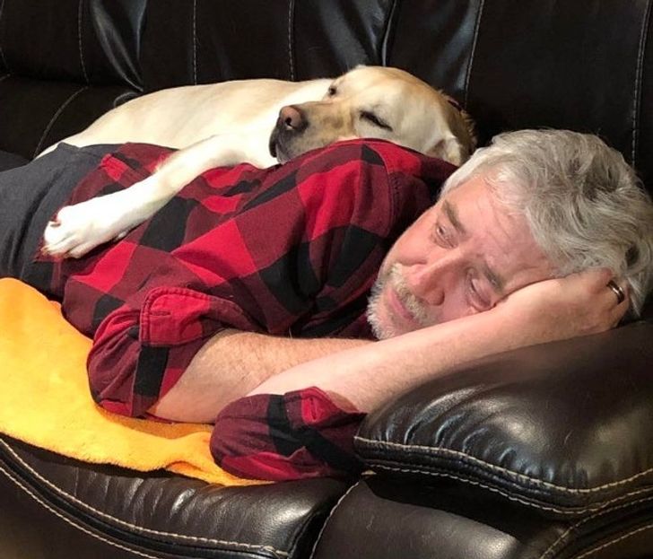 Illustration de l'article : Ces 20 personnes qui étaient contre adopter un animal de compagnie