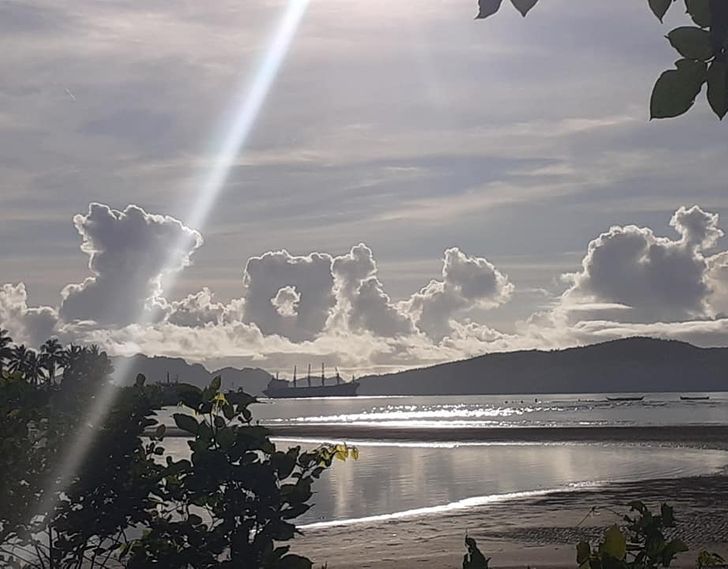 Illustration de l'article : Ces 20 photos qui illustrent les originalités de la nature