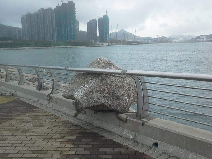 Illustration de l'article : Ces 17 photos qui sont la preuve de la bizarrerie du monde