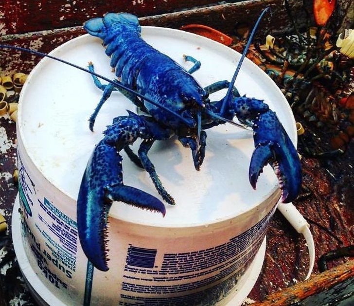 Illustration de l'article : Ces 21 coïncidences n'avaient que très peu de chance de se produire