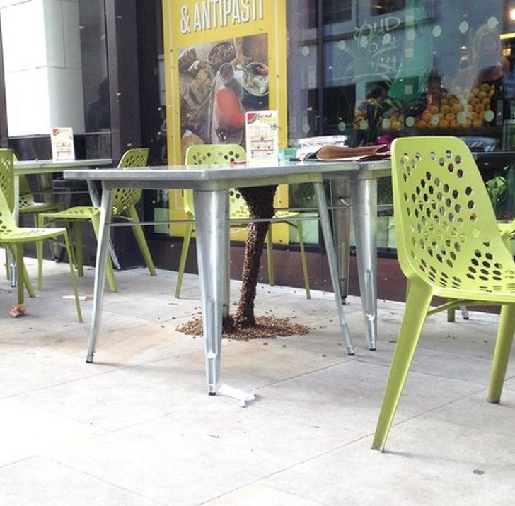 Illustration de l'article : Ces 18 internautes ont vu des bizarreries de très près