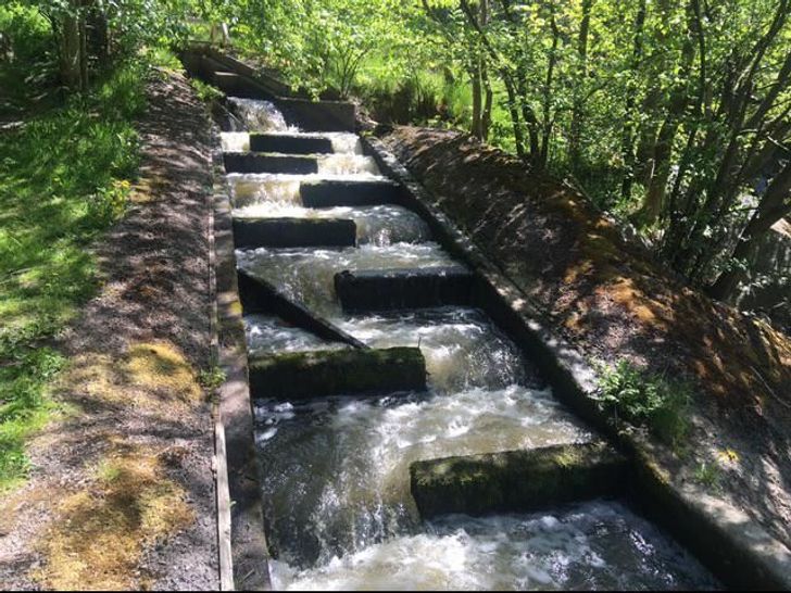 Illustration de l'article : Ces 19 photos qui montrent que la Suède est un pays à part