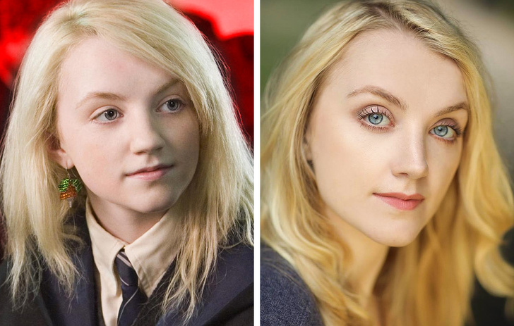 Illustration de l'article : Ces 12 acteurs transformés par la saga Harry Potter