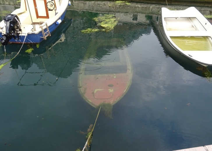 Illustration de l'article : Ces 22 photos de personnes pas forcément les plus chanceuses