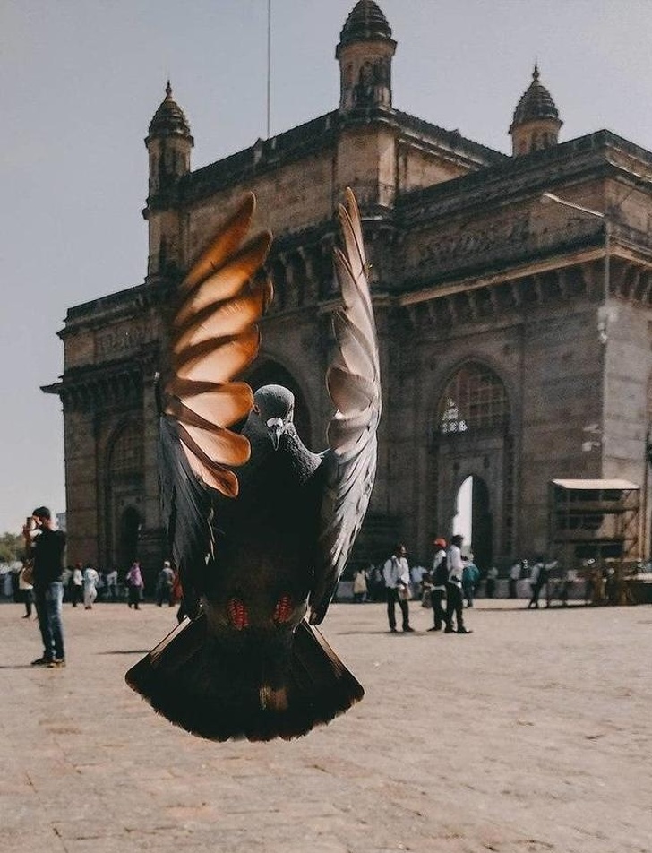 Illustration de l'article : Ces 19 photos qui produisent une illusion parfaite