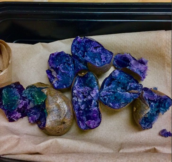 Illustration de l'article : Ces 17 photos qui montrent à quel point la nature est riche