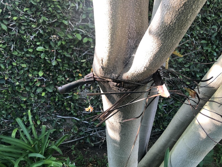 Illustration de l'article : Ces 20 photos qui montrent que la nature peut aussi plaisanter