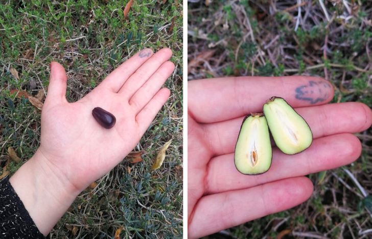 Illustration de l'article : Ces 20 photos illustrant les oeuvres insolites de la nature