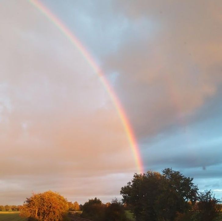 Illustration de l'article : Ces 19 situations où la vie a bien fait les choses