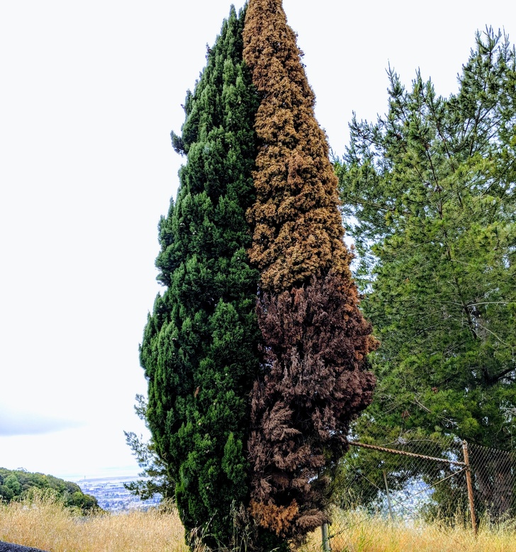 Illustration de l'article : Ces 16 photos qui montrent que notre monde est fascinant