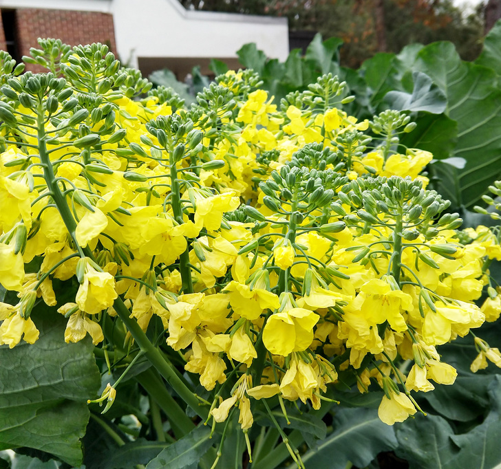 Illustration de l'article : Ces 29 photos curieuses qui révèlent le monde dans lequel nous vivons