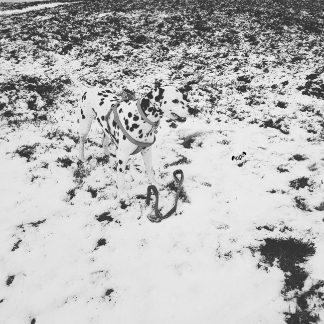 Illustration de l'article : 25 photos trompeuses qui nécessitent de la réflexion