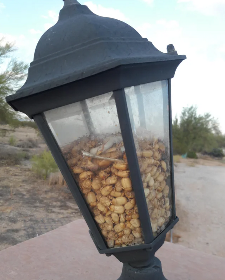 Illustration de l'article : Ces 18 situations qui ne se présentent qu'une seule fois dans une vie