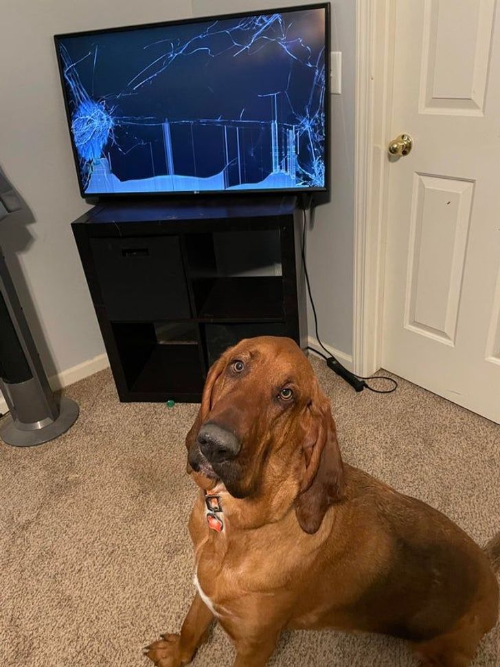 Illustration de l'article : Ces 20 personnes qui ont passé une mauvaise journée