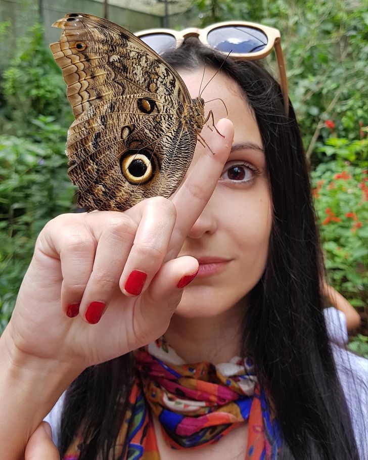 Illustration de l'article : Ces 20 photos illustrant les bonus que donne la nature &agrave; ses &eacute;l&eacute;ments