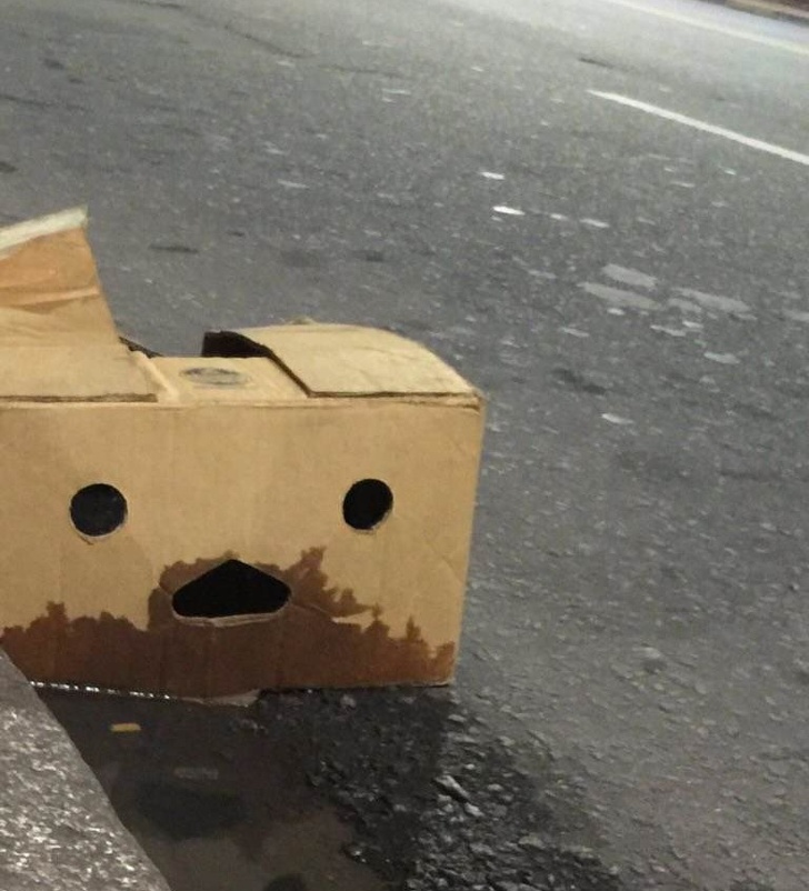 Illustration de l'article : Ces 17 photos où l'imagination fait voir autre chose